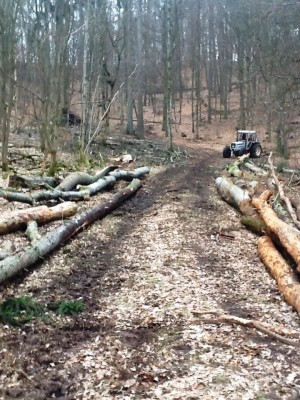 Foto 21.02.13 13 46 20.jpg