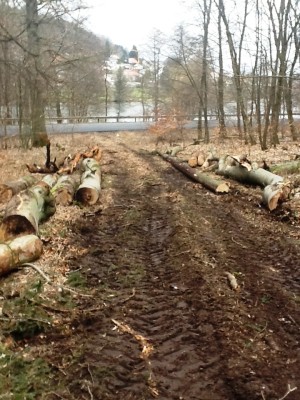 Foto 21.02.13 13 45 44.jpg