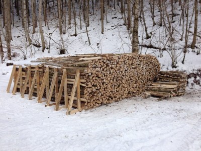 IMG_0082 (Andere).JPG