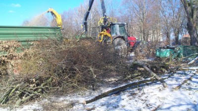 Häckseln 15.03 1.jpg