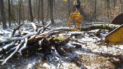 Häckseln 15.03 2.jpg