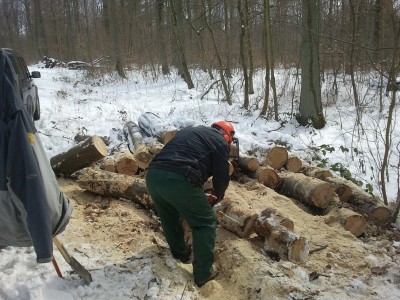 2013-03-16 11.18.19.jpg