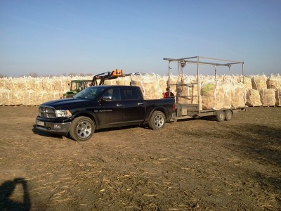 dodge beim arbeiten.jpg