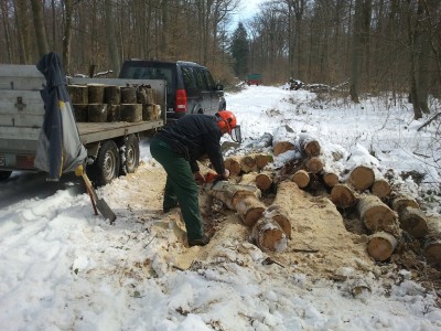 2013-03-16 11.18.29.jpg