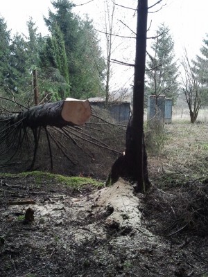 2013-03-30 12.01.47.jpg