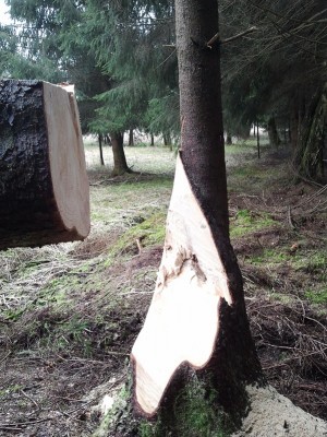 2013-03-30 12.03.27.jpg