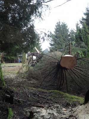 2013-03-30 12.01.52.jpg