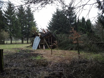 2013-03-30 12.02.31.jpg