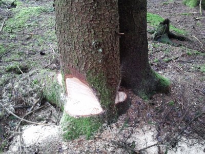 2013-03-30 12.02.45.jpg