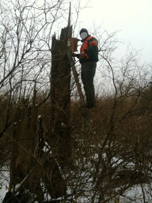 VogelkastenFoto (3).jpg