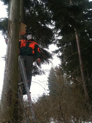 vogekastenFoto (2).jpg