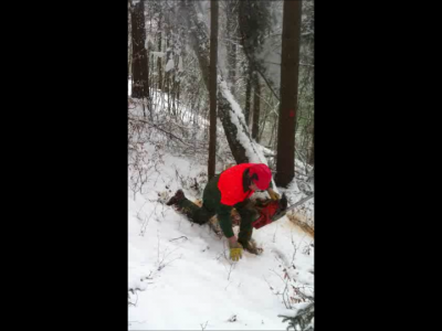 Momentaufnahme 1 (31.03.2013 17-47).png