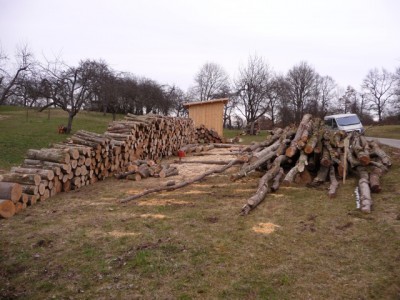 P1000413.jpg