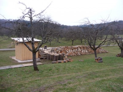 P1000416.jpg