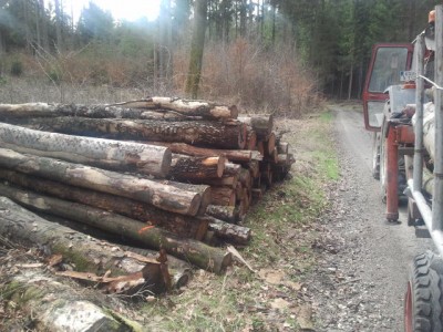 2013-04-17 16.13.07.jpg