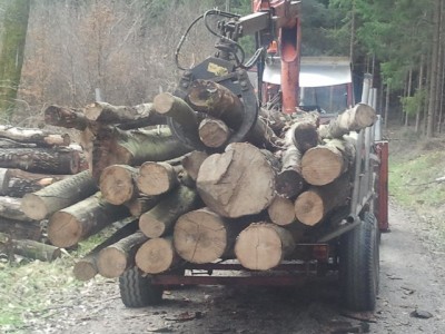 2013-04-17 16.13.47 (2).jpg