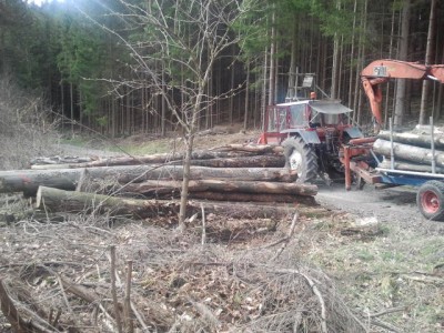 2013-04-17 16.13.27.jpg