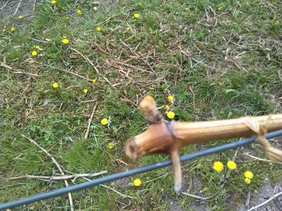 IMG_20130419_132408.jpg