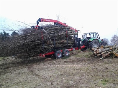 2013-04-06 17.33.50 (Individuell).jpg