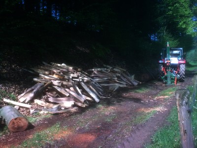 2013-05-05 Stammholz spalten.jpg