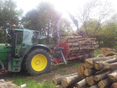 K800_sehr voll 2.JPG