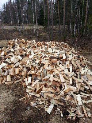 Holz-10.jpg