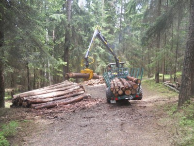 Brennholz fahren 2013 001.JPG