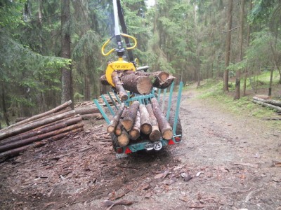 Brennholz fahren 2013 003.JPG