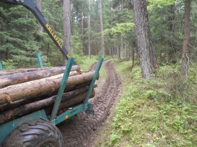 Brennholz fahren 2013 004.JPG