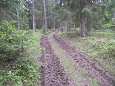 Brennholz fahren 2013 005.JPG