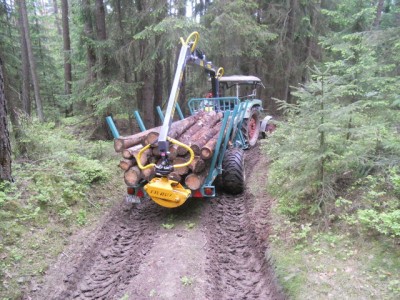 Brennholz fahren 2013 006.JPG