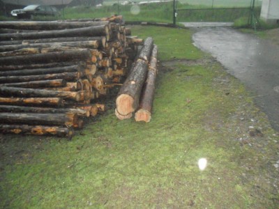 Brennholz fahren 2013 008.JPG