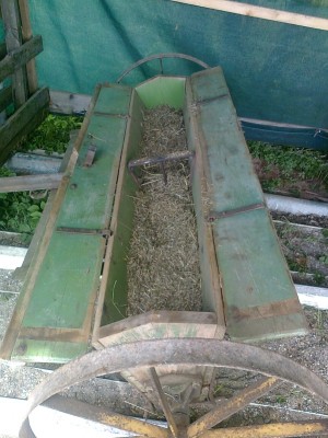 Rauch zwischenstand.jpg