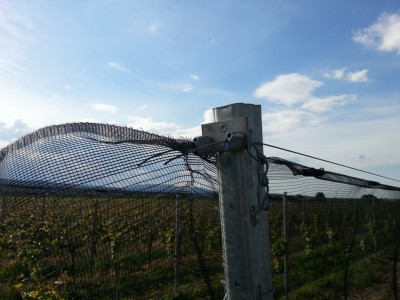 20130528_173713.jpg