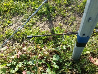 20130528_173705.jpg
