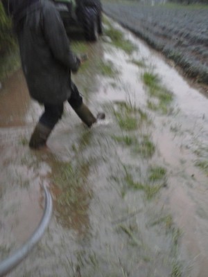 CAM00229.jpg