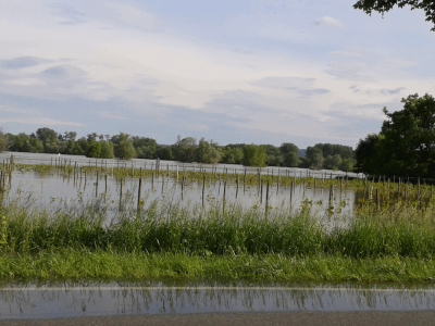 Hochwasser.png