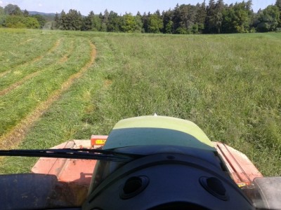 2013-06-06 10.08.55 (640x480).jpg