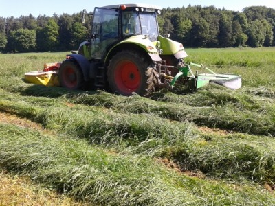 2013-06-06 10.11.21 (640x480).jpg