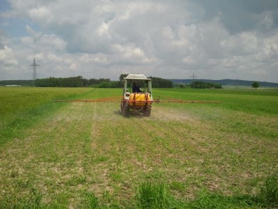 2013-06-08 12.23.17.jpg