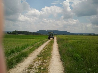 2013-06-08 12.23.27.jpg