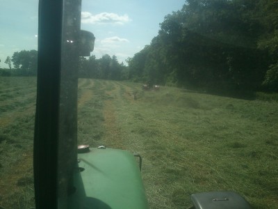 DSC_0383 (800x600).jpg