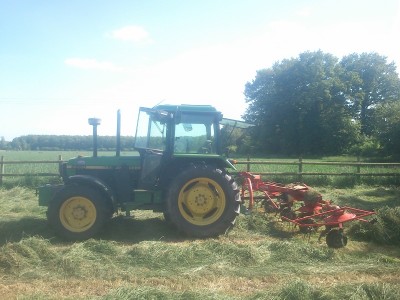 DSC_0385 (800x600).jpg