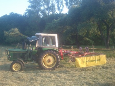 DSC_0402 (800x600).jpg