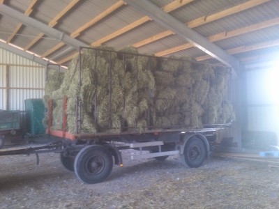 DSC_0405 (800x600).jpg