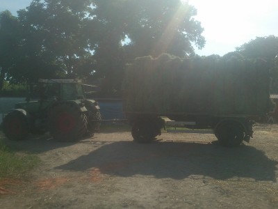 DSC_0406 (800x600).jpg