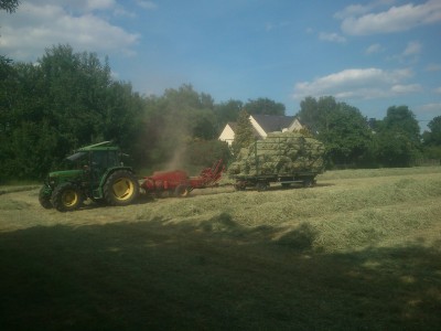 DSC_0411 (800x600).jpg