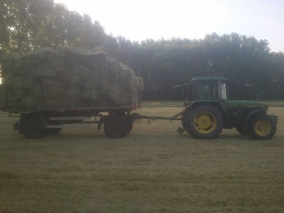 DSC_0414 (800x600).jpg