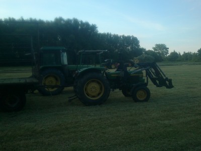 DSC_0417 (800x600).jpg