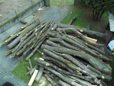 20fm Holz 005.jpg
